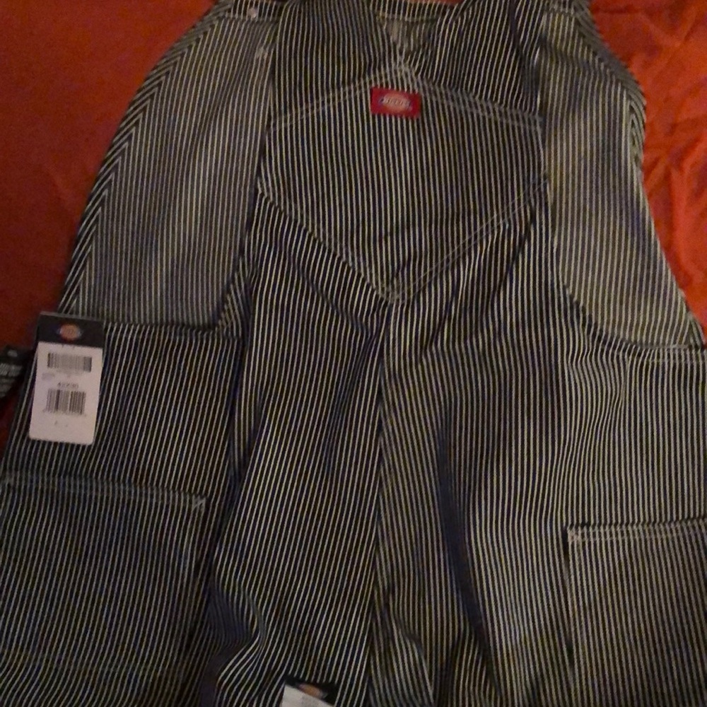 Dickies Men’s striped overalls